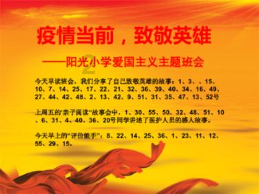 去年共立案侦办走私等案件4959起 “套代购”占四成